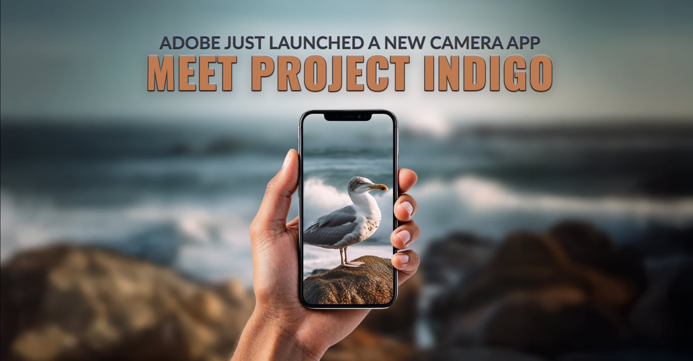 TechDogs-"Adobe Just Launched A New Camera App: Meet Project Indigo"