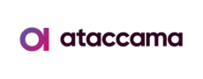Ataccama ONE