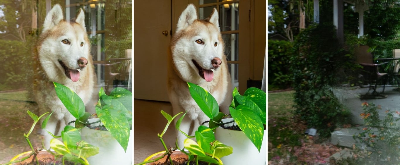 TechDogs-"An Image Of A Photo With A Reflection (Left), The Photo With The Reflections Removed (Center), And The Reflection Itself (Right) Of A Backyard Garden"