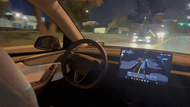 TechDogs-"A GIF Of A User's Experience Of A Tesla Robotaxi Ride"