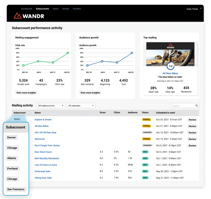 TechDogs-"Tool 5: Marigold Loyalty"-"An Image Of Marigold Loyalty's Subaccount Performance Activity Dashboard"