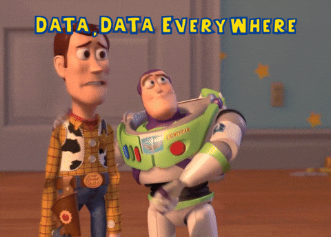 TechDogs-"Employee Records And Data Privacy"-"A Gif From Toy Story With A Text - Data, Data Everywhere"