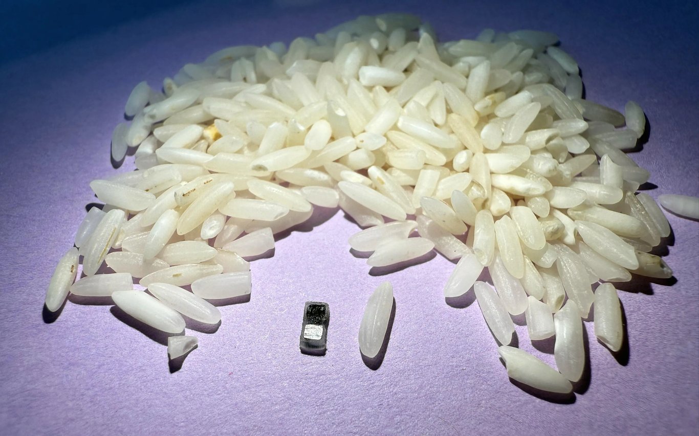 TechDogs-"An Image Of Northwestern University's Pacemaker In Comparison To Grains Of Rice"