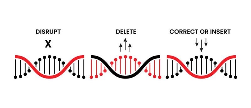 TechDogs-"How Does CRISPR Enable Gene Editing?"-"An Image Showing How CRISP Gene Editing Can Modify Genetic Data"