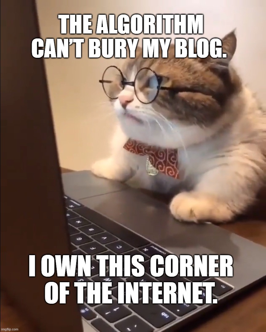 TechDogs-"Your Blog Is Your Space"-"A Meme Showing A Cat Working On A Laptop With A Text That Says, “The Algorithm Can’t Bury My Blog. I Own This Corner Of The Internet.”"