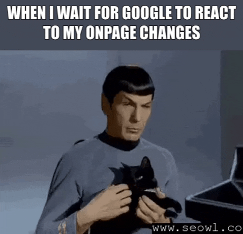 TechDogs-"How Does SEO Work?"-"A Gif Showing A Person Holding A Cat With A Text On It - “When I Wait For Google To React To My Onpage Changes”"