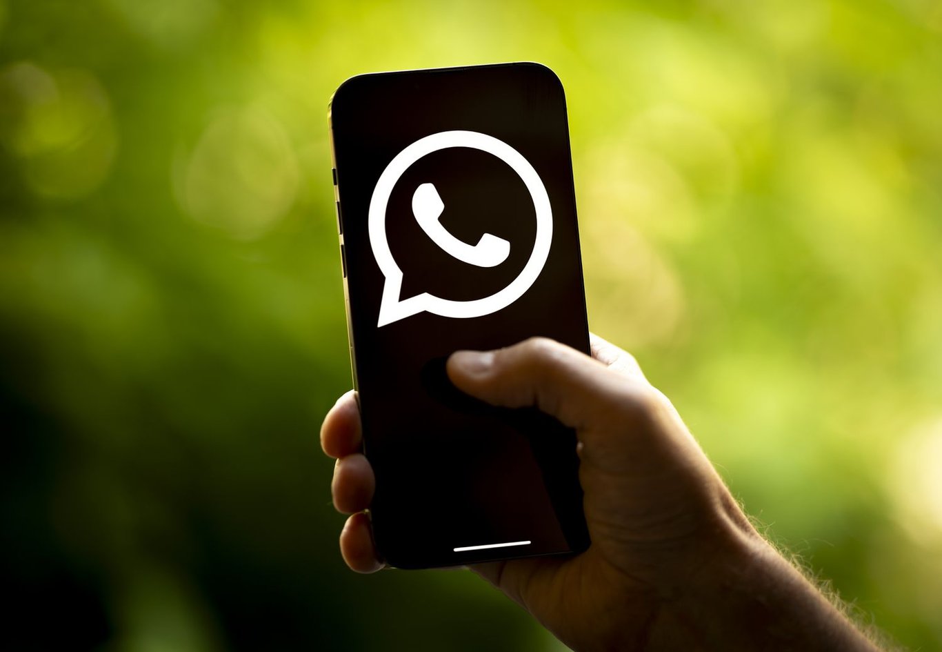 TechDogs-"An Image Of WhatsApp's Logo On A Phone"