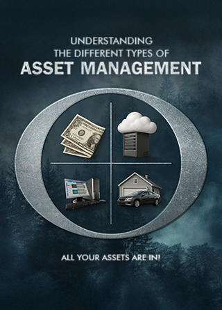 TechDogs-"Understanding The Different Types Of Asset Management"
