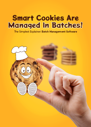 TechDogs-"The Simplest Explainer: Batch Management Software"