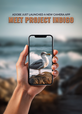 TechDogs-"Adobe Just Launched A New Camera App: Meet Project Indigo"
