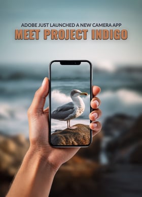 TechDogs-"Adobe Just Launched A New Camera App: Meet Project Indigo"