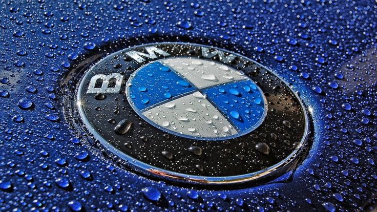 TechDogs-"An Image Showing The Logo Of BMW"