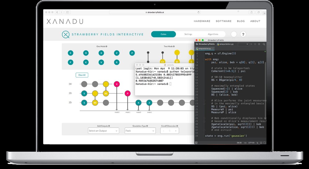 TechDogs-"Tool 4: Strawberry Fields By Xanadu"-"An Image Showing The Dashboard Of Strawberry Fields"