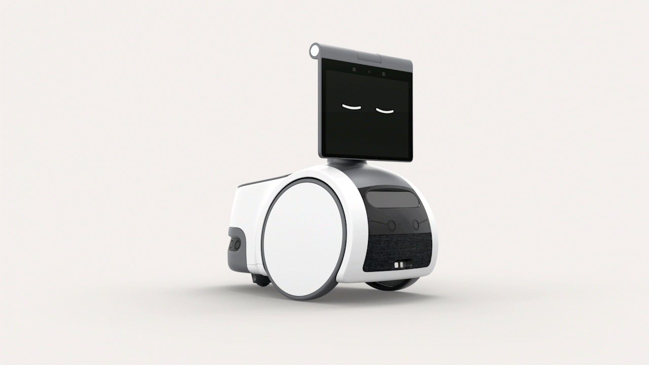 TechDogs-"Astro"-"An Image Of Astor Robot"