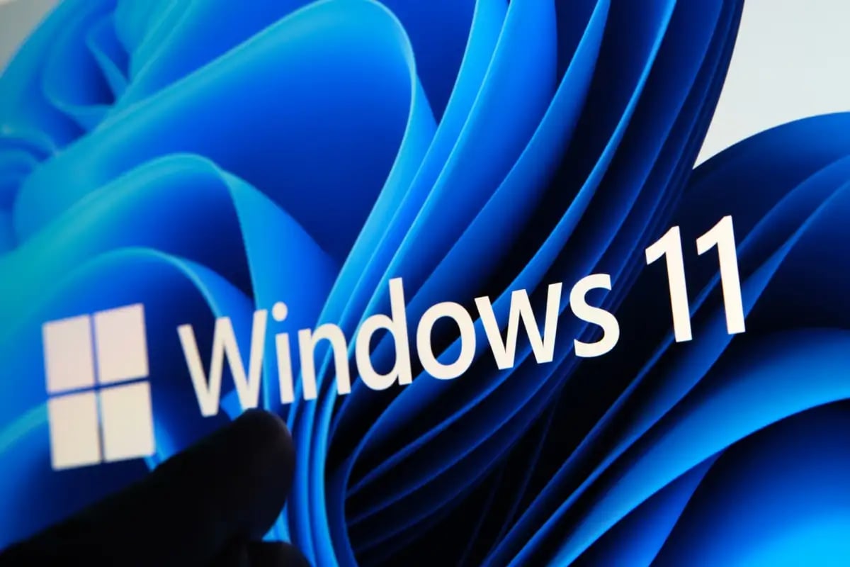 TechDogs-"An Image Of The Windows 11 Logo"