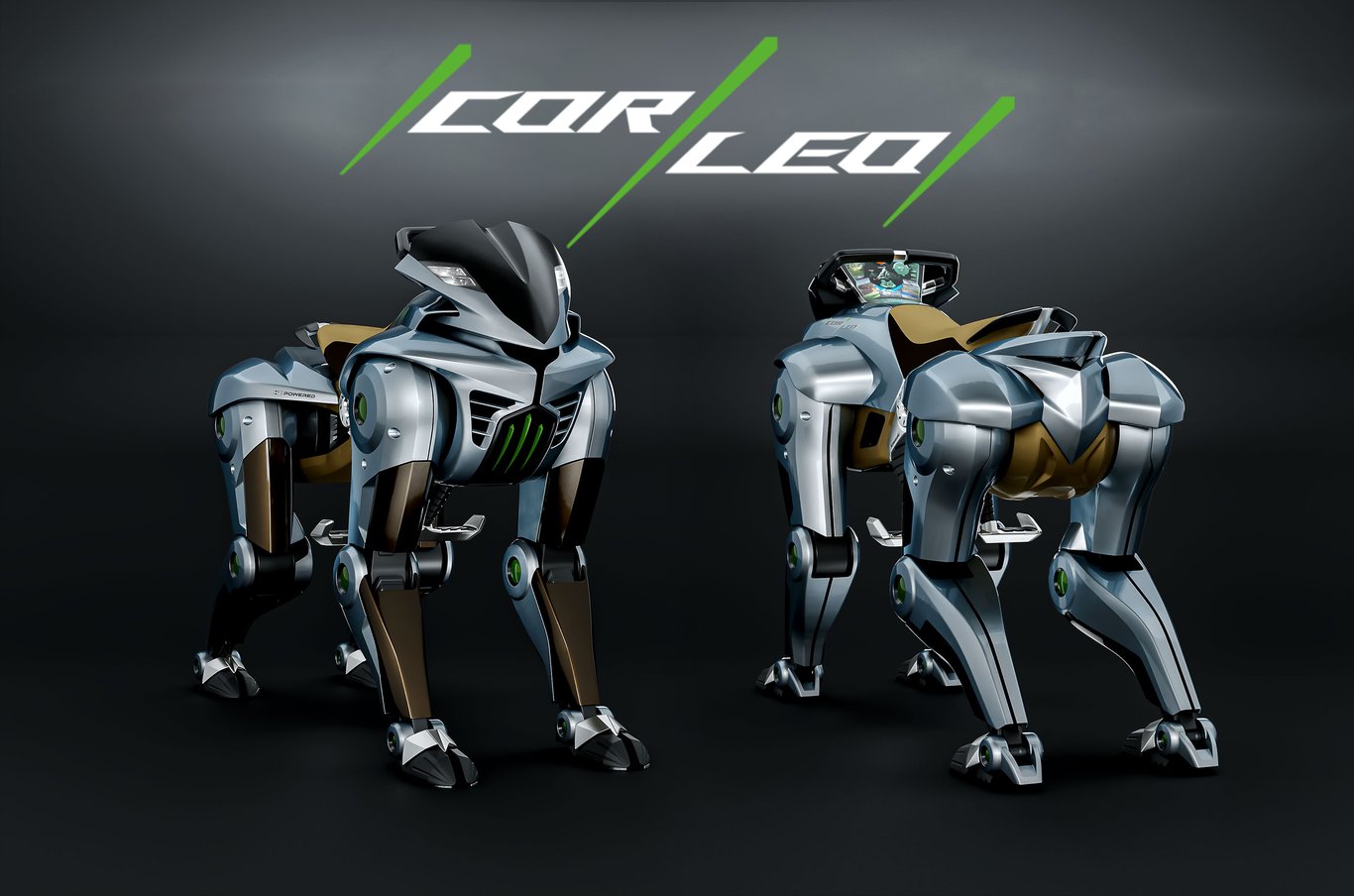TechDogs-"An Image Showing Kawasaki's CORLEO From The Front And The Back"