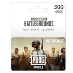 Digital gift card for "PUBG-300 + 25 UC" showing characters with gear and the text "300 +25 UC" and "Fast Email Delivery. | TECHHAUZ.COM