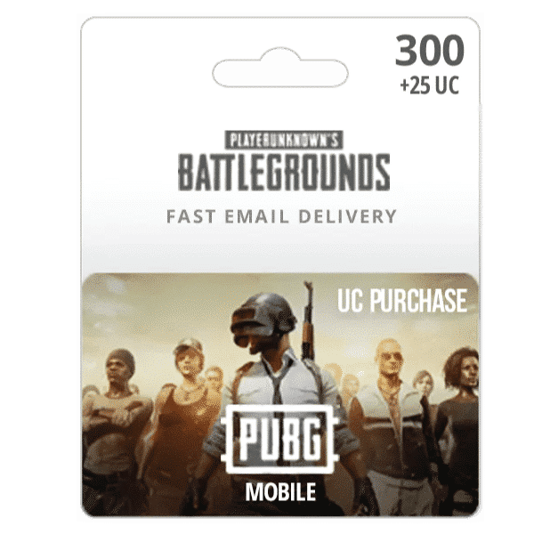 Digital gift card for "PUBG-300 + 25 UC" showing characters with gear and the text "300 +25 UC" and "Fast Email Delivery. | TECHHAUZ.COM