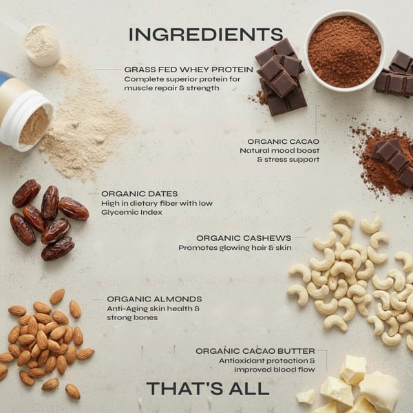 Chocolate Protein Bar 3