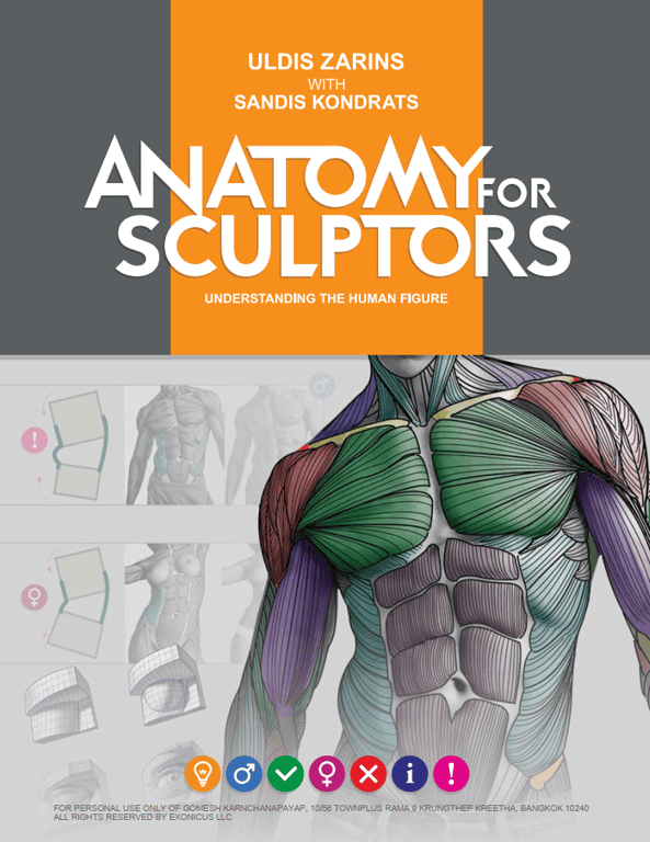 Anatomy for Sculptors – Understanding the Human Figure