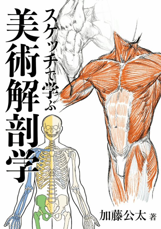 Art Anatomy Learned from Sketches