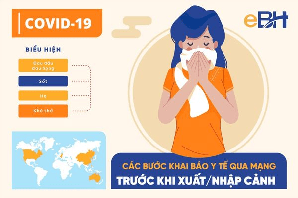 Họa sĩ minh họa có thể làm trong những lĩnh vực gì?