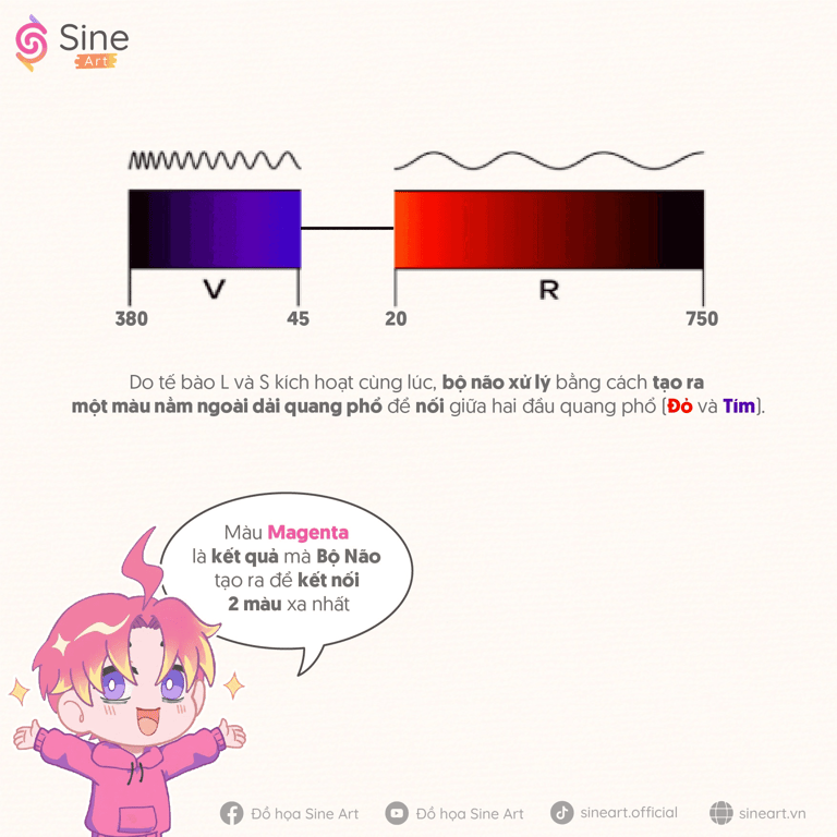 Màu Magenta không có trong quang phổ