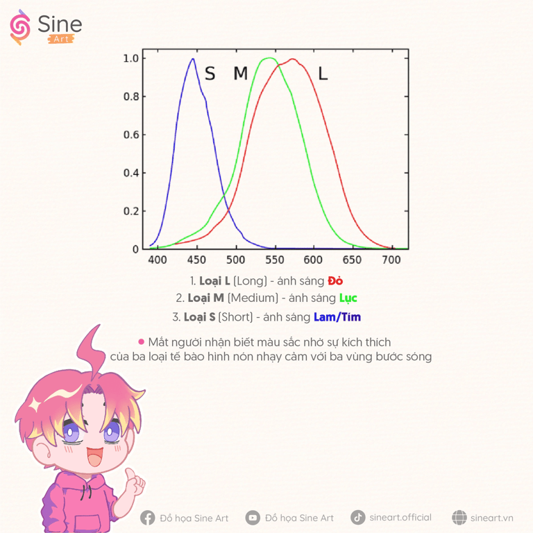 Màu Magenta không có trong quang phổ