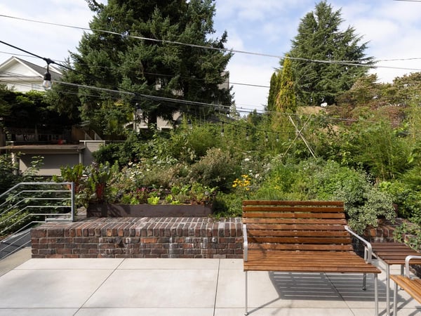 Image of Capitol Hill Remodel