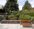 Preview of Capitol Hill Remodel - Image 9: .