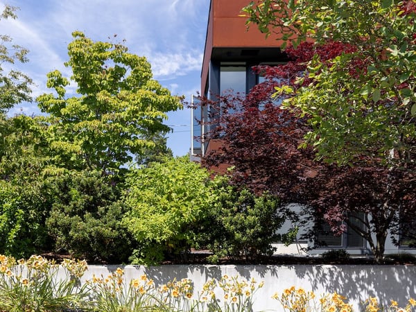 Image of Diggdon Residence