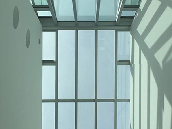 Image of Dutch Light