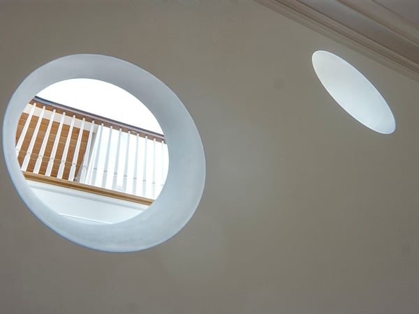 Image of Dutch Light