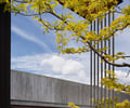 Preview of Graham Residence - Image 4: Flora, Jar, Plant, Potted Plant, Pottery, Vase, Architecture, Building, Column, Pillar, Maple, Tree, Outdoor, Concrete wall, Wood ceiling.