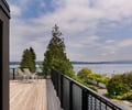 Preview of Highland Residence - Image 17: Conifer, Flora, Plant, Tree, Yew, Building, House, Housing, Villa, Waterfront.
