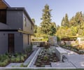 Preview of Vashon Island Cabin - Image 6: modern, minimalist, contemporary, concrete wall, structure steel, garden, pathway, sustainability, green building, rural, outdoor space, landscape design, flat roof, wood soffit, black steel, large windows, facade panels, natural light, geometric design.