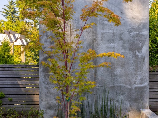 Image of Vashon Island Cabin