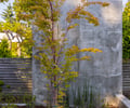 Preview of Vashon Island Cabin - Image 4: concrete wall, wood slats, garden, landscaping, modern, minimalist, outdoor lighting, tree, shrubbery, greenery, natural materials, urban, contemporary design, rustic elements, outdoor space, natural texture.