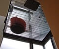 Preview of Laima Residence - Image 0: grating .
