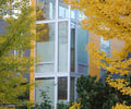 Preview of Laima Residence - Image 2: Conifer, Flora, Plant, Tree, Yew, Maple, color.