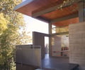 Preview of Leschi Residence - Image 6: Flora, Jar, Plant, Potted Plant, Pottery, Vase, Glass, concrete wall , concrete floor , wood ceiling .