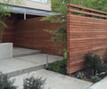 Preview of Madison Park Courtyard Spaces - Image 0: Flora, Plant, Pottery, Vase, Outdoors, Yard, Conifer, Tree, IPE, paver , landscape, entry.
