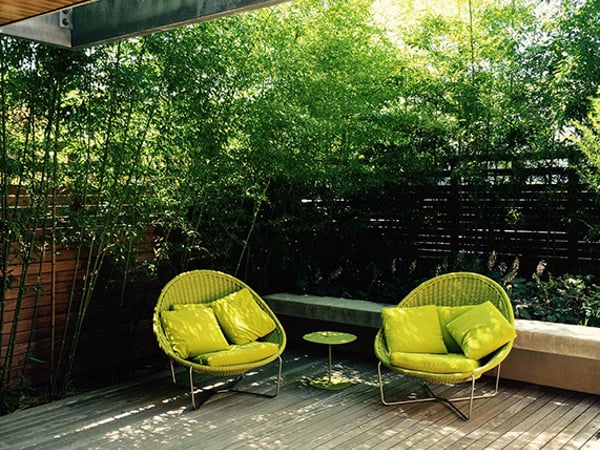 Image of Madison Park Courtyard Spaces