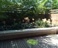 Preview of Madison Park Courtyard Spaces - Image 3: water feature .