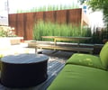 Preview of Madison Park Courtyard Spaces - Image 6: Flora, Jar, Plant, Planter, Potted Plant, Pottery, Vase, Aluminium, Can, Tin, Trash Can, Indoors, Interior Design, courtyard , color.