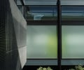 Preview of Tacoma Tideflats Residential Relocation Center - Image 0: Ivy, Window, Apartment, Building, grating, glass exterior, screen.