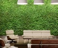 Preview of Technology Lab - Image 3: Chair, Furniture, Fence, Flora, Hedge, Plant, Couch.