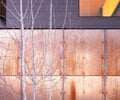 Preview of Sun Valley Fireweed - Image 7: corten, window, metal facade, rust texture, exterior design, contemporary architecture, cladding, tree, minimalism, contrast, siding, vertical panels, natural elements, industrial style.