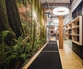 Preview of Undead Labs - Image 10: open floor plan, nature mural, exposed ceiling, wood columns, wood shelving, industrial lighting, carpet flooring, plywood, concrete wall, office, natural light, modern design, bookcase, corridor.