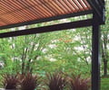Preview of Victorian Redux - Image 22: Flora, Jar, Plant, Potted Plant, Pottery, Vase, Gazebo, Arecaceae, Palm Tree, Tree, Bench, trellis, canopy, structure steel, ipe.